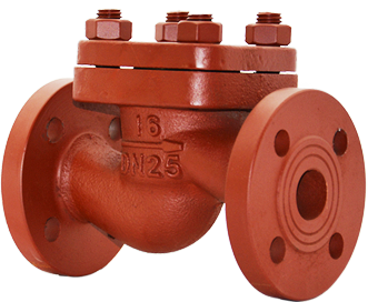 船用法兰铸铁直通止回阀